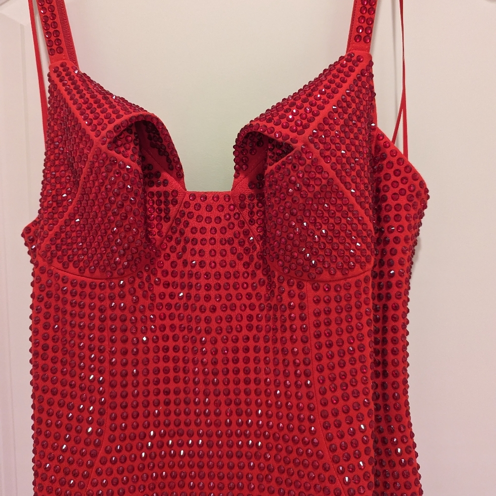 Area crystal embellished gown